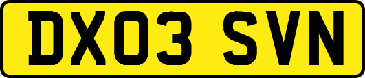 DX03SVN
