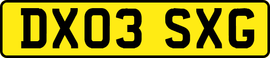 DX03SXG