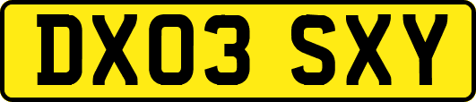 DX03SXY