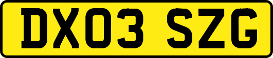DX03SZG
