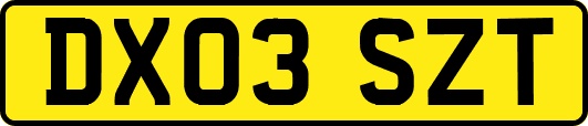 DX03SZT