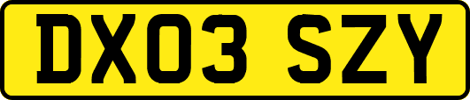 DX03SZY