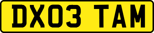 DX03TAM