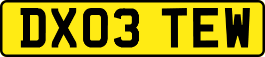DX03TEW