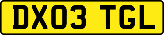 DX03TGL