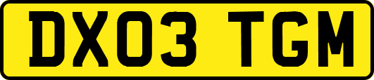 DX03TGM