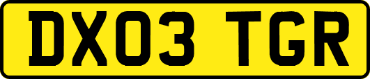 DX03TGR
