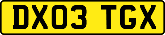 DX03TGX