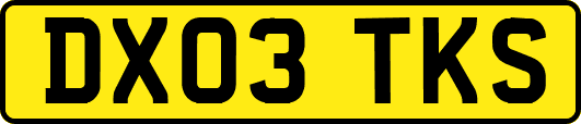 DX03TKS