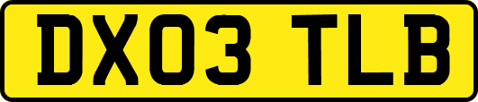 DX03TLB