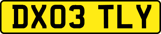 DX03TLY