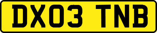 DX03TNB