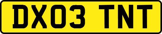 DX03TNT