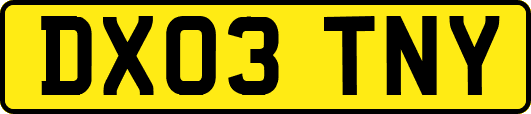 DX03TNY