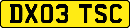 DX03TSC