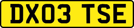 DX03TSE