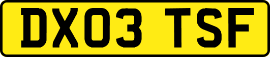 DX03TSF