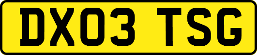 DX03TSG