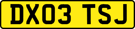 DX03TSJ