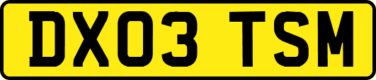 DX03TSM