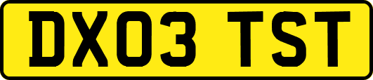 DX03TST