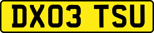 DX03TSU