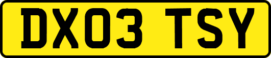 DX03TSY