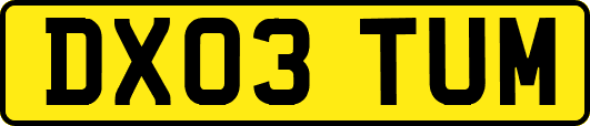 DX03TUM