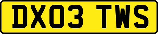 DX03TWS