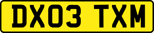 DX03TXM
