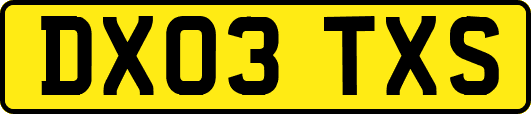 DX03TXS