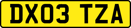 DX03TZA