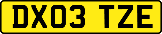 DX03TZE