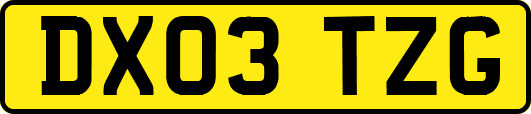 DX03TZG