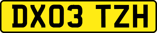 DX03TZH