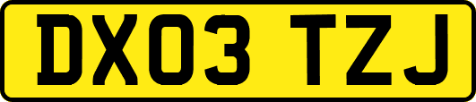 DX03TZJ
