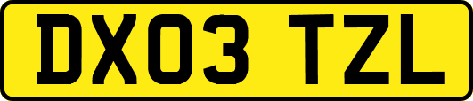 DX03TZL
