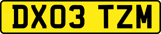 DX03TZM