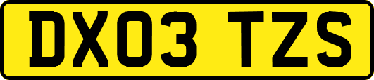 DX03TZS
