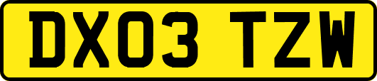 DX03TZW