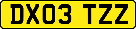 DX03TZZ