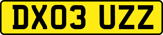 DX03UZZ