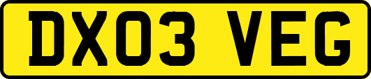 DX03VEG