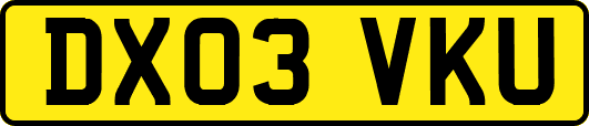 DX03VKU