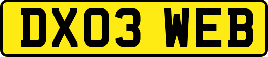 DX03WEB