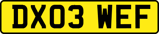 DX03WEF