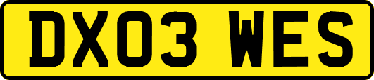 DX03WES