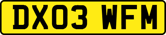 DX03WFM