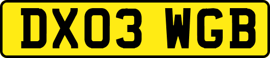 DX03WGB