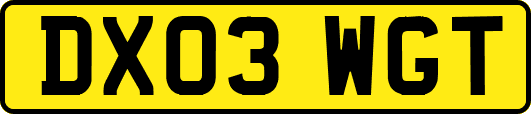 DX03WGT